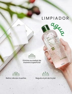 Desmaquillante The Chok Chok Green Tea Tony Moly